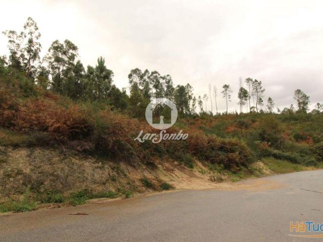 Terreno venda em Celorico De Basto, Braga
