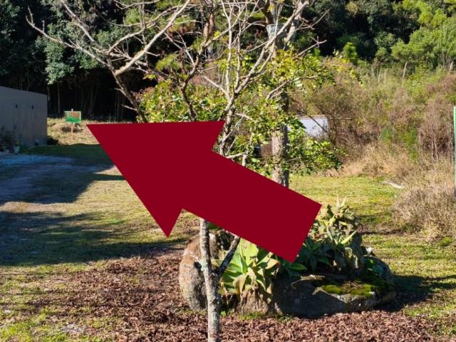 Terreno venda em Região Geográfica Imediata de São Gabriel - Caçapava do Sul, Cacapava do Sul