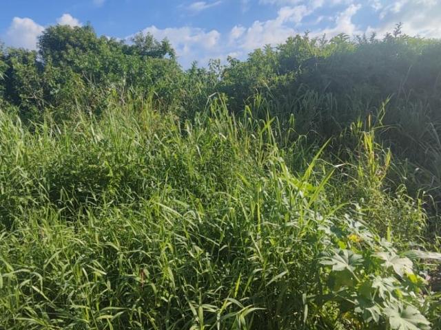 Terreno venda em Região Imediata de Caraguatatuba-Ubatuba-São Sebastião, Região Metropolitana do Vale do Paraíba e Litoral Norte