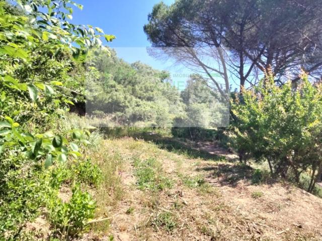 Terreno venda em Mafra, Lisboa