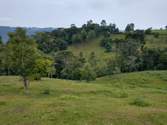 Terreno venda em Dona Emma, Região Geográfica Intermediária de Blumenau