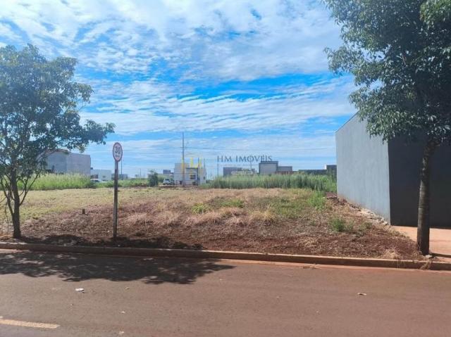 Terreno venda em Região Geográfica Imediata de Dourados, Dourados