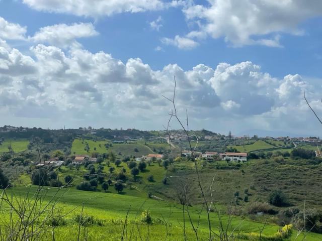 Terreno venda em Santarém