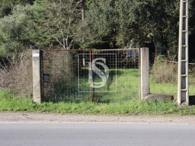 Terreno venda em Abrantes, Santarém