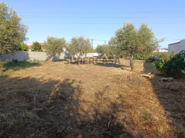 Terreno venda em Abrantes, Santarém