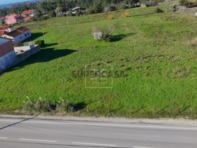 Terreno venda em Alcobaça, Leiria