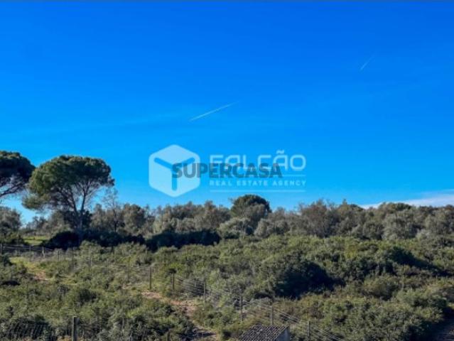 Terreno venda em Santarém