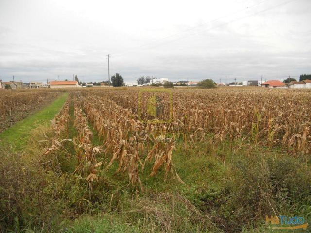 Terreno venda em Aveiro