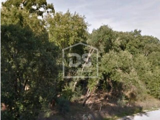 Terreno venda em Ourém, Santarém