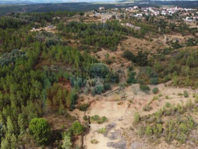 Terreno venda em Castelo Branco