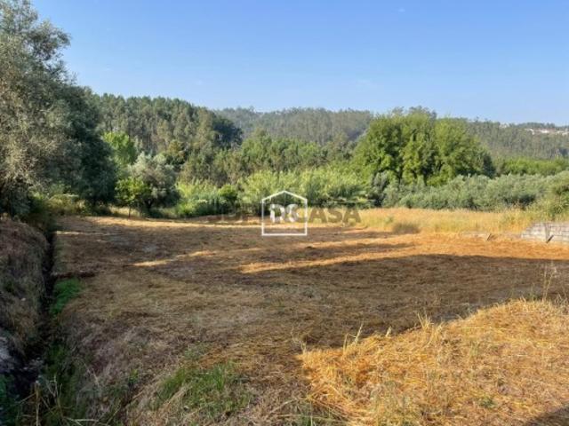 Terreno venda em Pombal, Carnide
