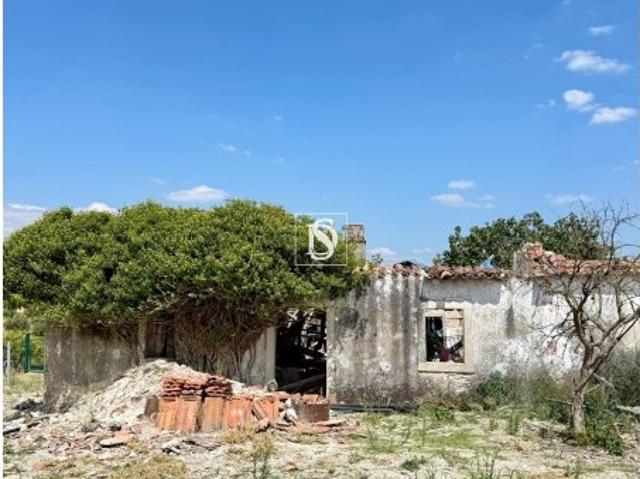 Terreno venda em Casével e Vaqueiros, Santarém