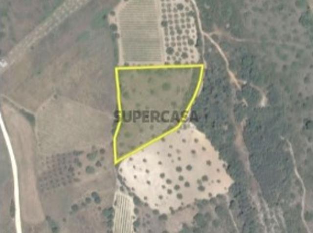 Terreno venda em Vale do Poço Covão, Torres Novas