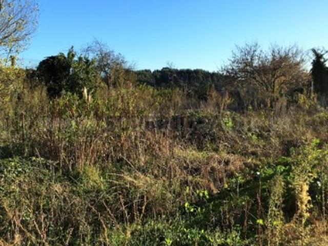 Terreno venda em Porto