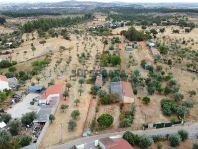 Terreno venda em Castelo Branco