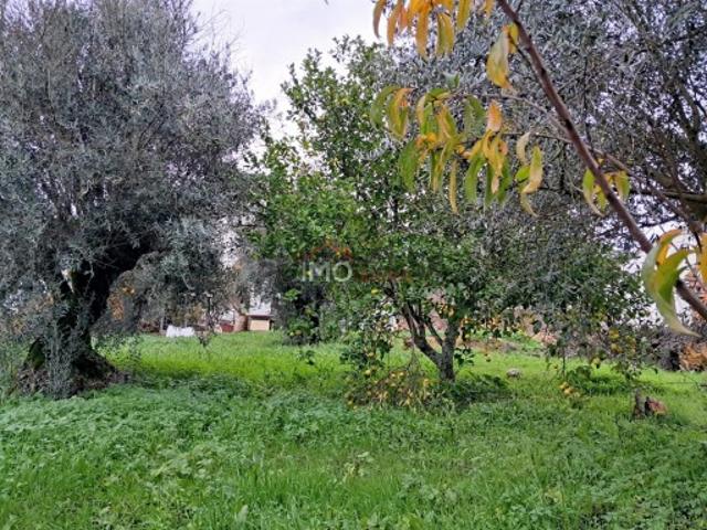Terreno venda em Portalegre