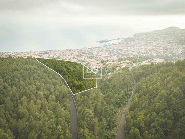 Terreno venda em Funchal, Ilha Da Madeira