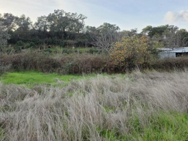 Terreno venda em Castelo Branco, Idanha-a-nova