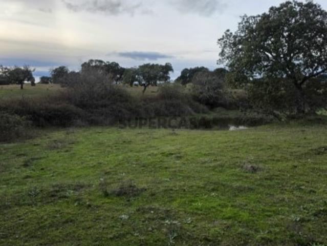 Terreno venda em Castelo Branco, Idanha-a-nova