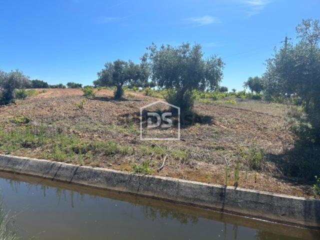 Terreno venda em Castelo Branco, Idanha-a-nova