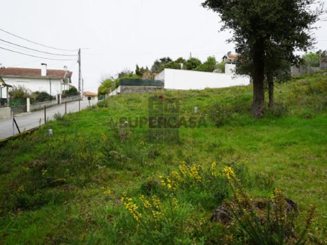 Terreno venda em Vale De Cambra, Aveiro