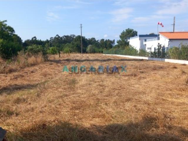 Terreno venda em Leiria