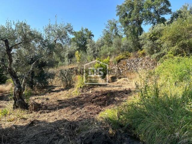 Terreno venda em Castelo Branco