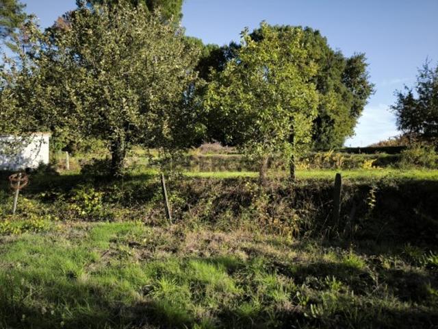 Terreno venda em Carregal Do Sal, Viseu