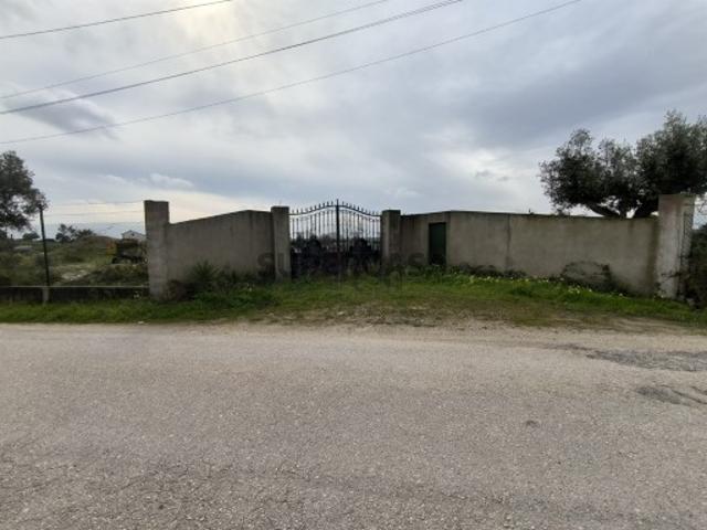 Terreno venda em Cartaxo, Santarém