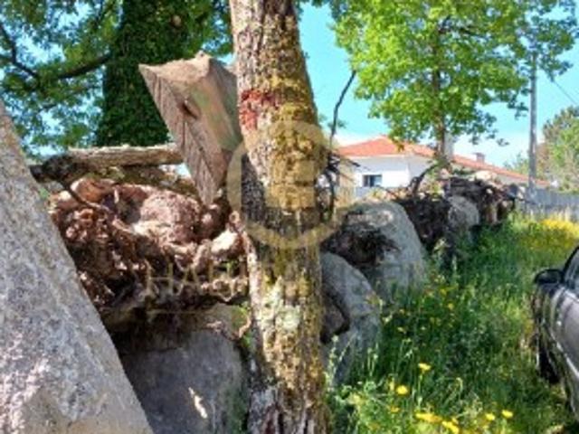 Terreno venda em Vilar da Ordem, Viseu