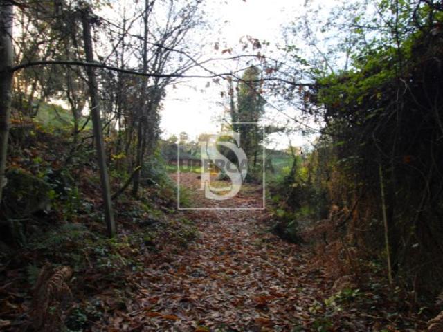 Terreno venda em Amarante, Porto