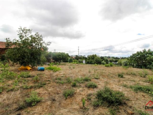 Terreno venda em Rio de Loba, Viseu