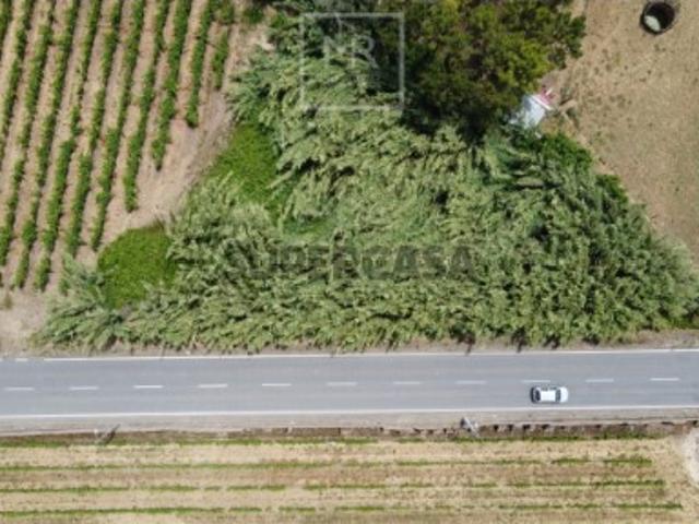 Terreno venda em Anadia, Aveiro