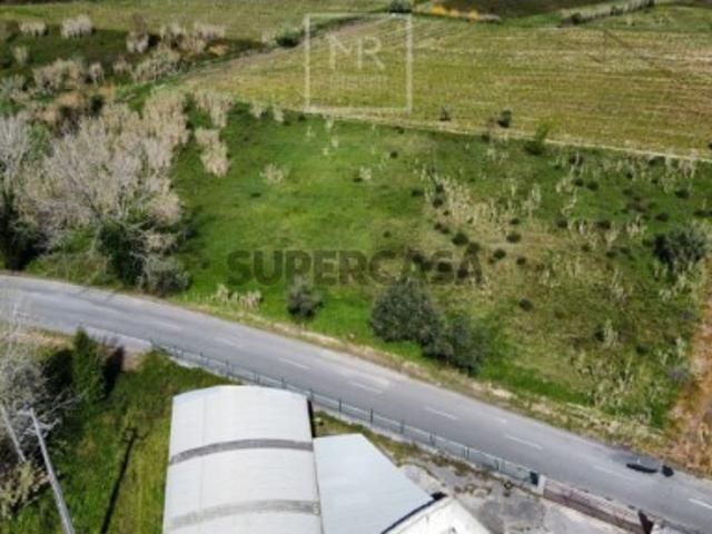 Terreno venda em Anadia, Aveiro