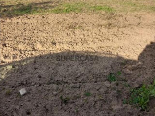 Terreno venda em Abrantes, Santarém