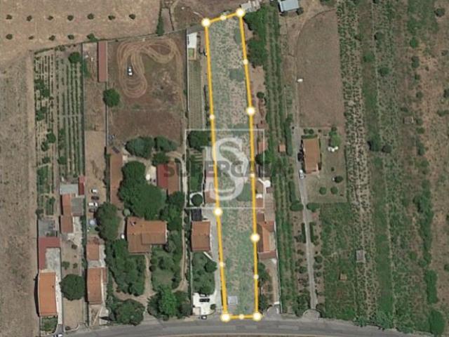 Terreno venda em Abrantes, Santarém