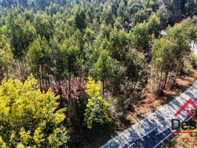 Terreno venda em São Pedro Do Sul, Viseu