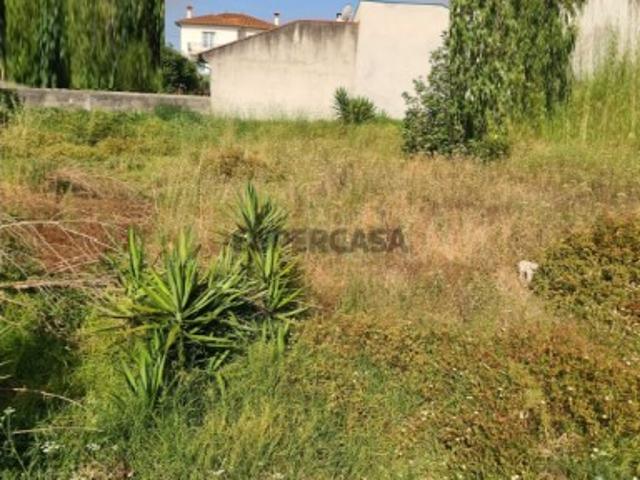 Terreno venda em Coimbrã, São Silvestre