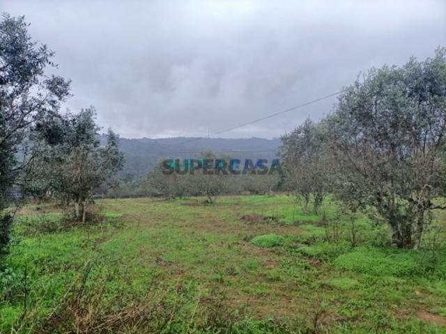 Terreno venda em Donairia, Leiria