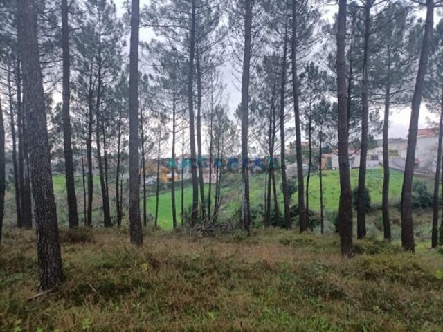 Terreno venda em Donairia, Leiria