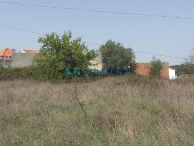 Terreno venda em Pombal, Leiria