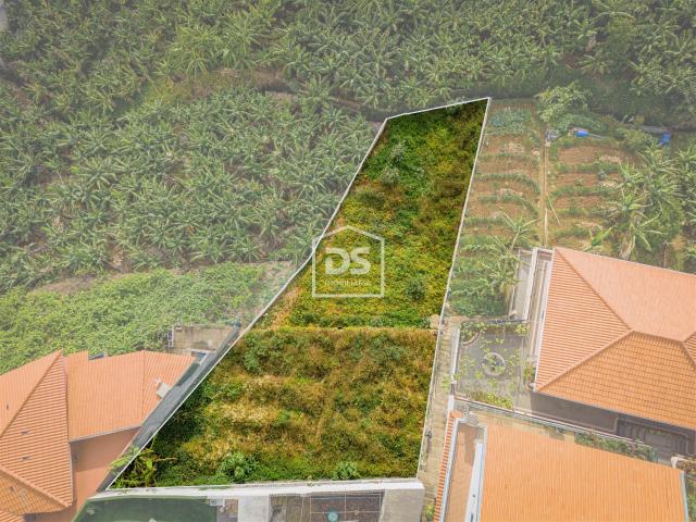 Terreno venda em Funchal, Ilha Da Madeira