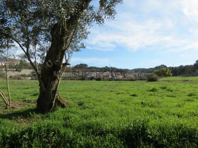 Terreno venda em Guarda, Seia