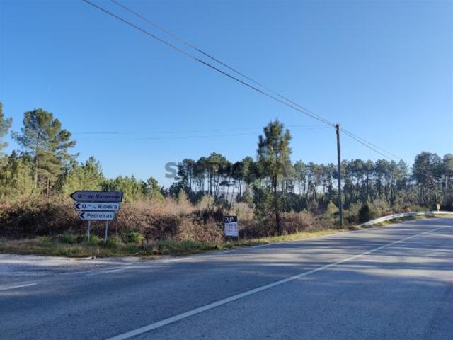 Terreno venda em Penalva Do Castelo, Vacaria Terreno venda em Penalva Do Castelo, Vacaria