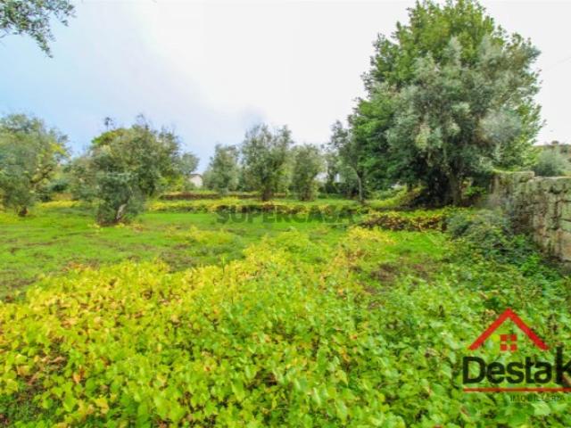 Terreno venda em Viseu
