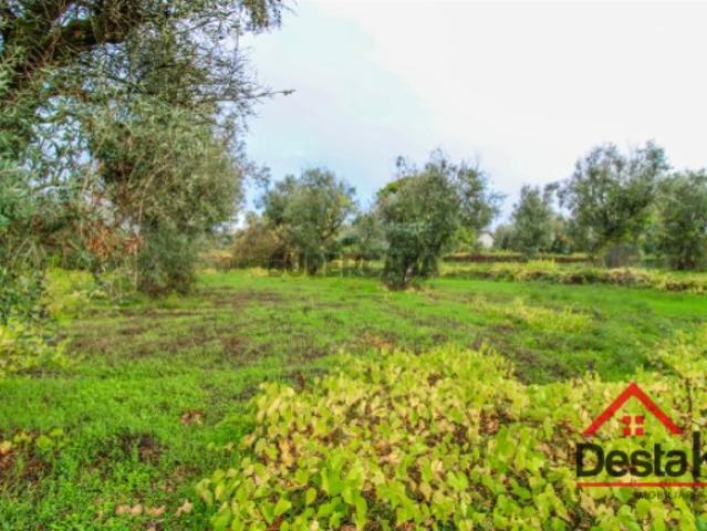 Terreno venda em Viseu