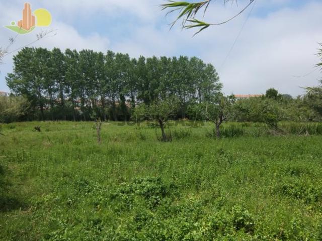 Terreno venda em Carritos, Figueira Da Foz