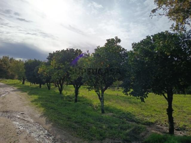 Terreno venda em Couto Do Mosteiro, Viseu