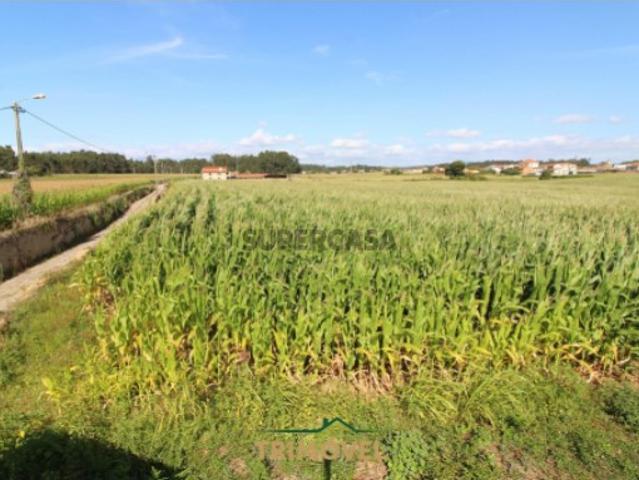 Terreno venda em Roçadas de Espinhos, Ovar