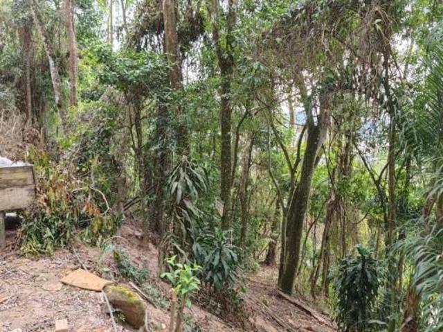 Terreno venda em Ilhabela, Região Geográfica Intermediária de São José dos Campos